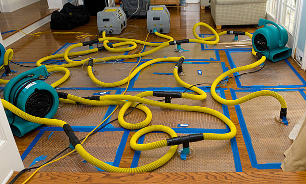 Professional Flood Damage Restoration technician working in Lockport, LA
